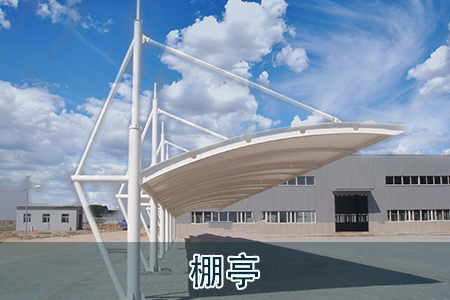 Customize Parking Canopy